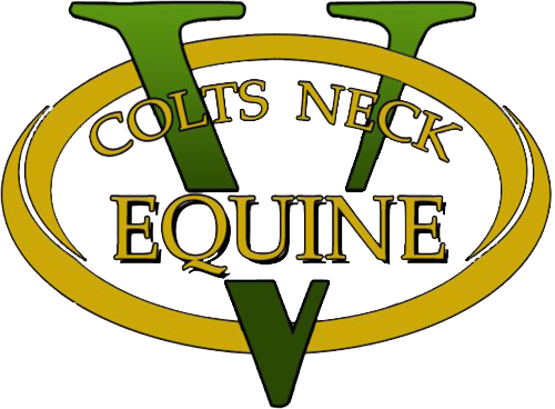 colts equine neck